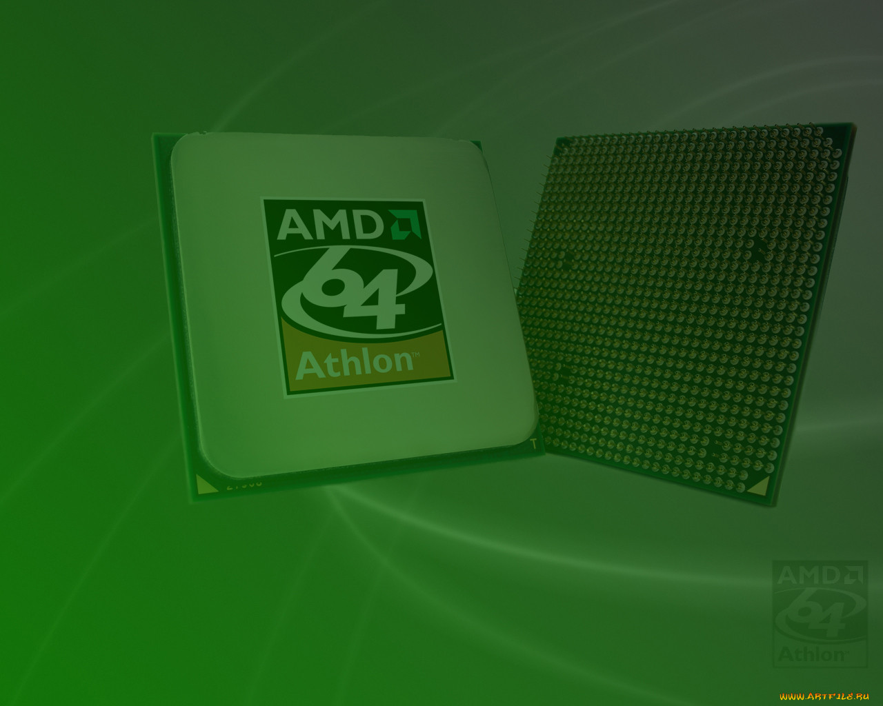 , amd